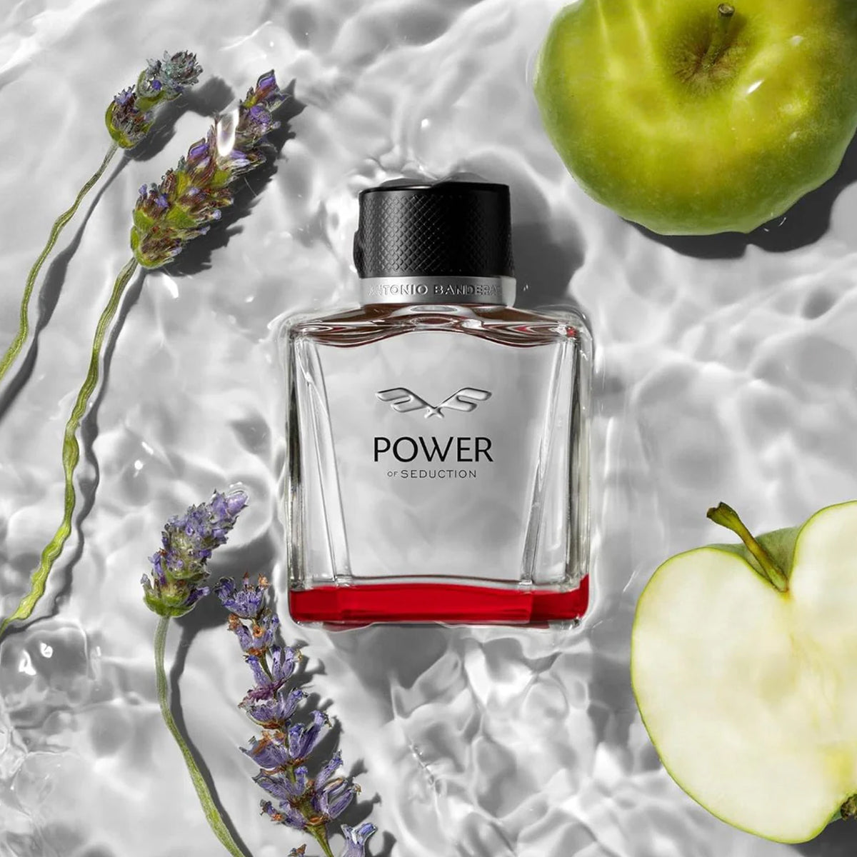 Antonio Banderas Power of Seduction EdT