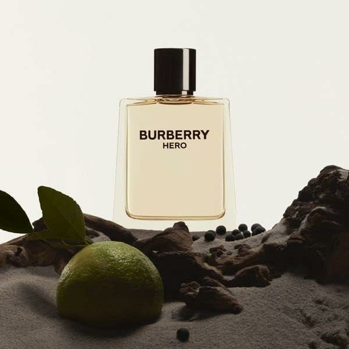 Resenecessär burberry hero