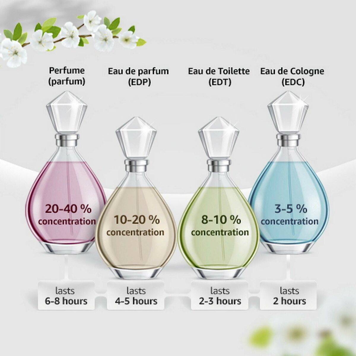 Dsquared2 wood for her edt