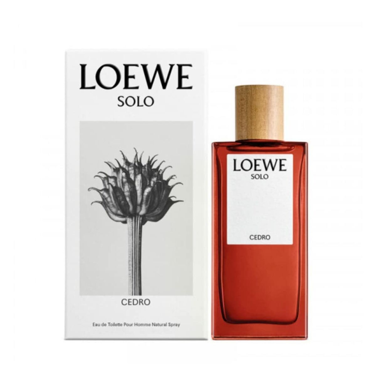 Loewe solo cedro edt