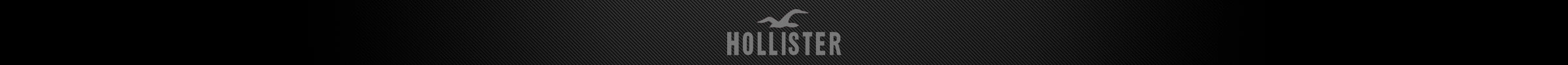 Hollister