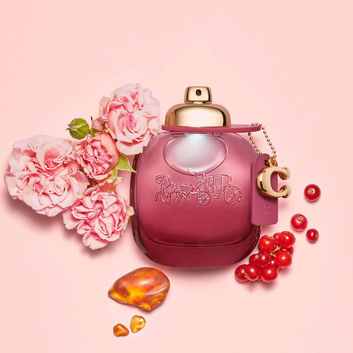Coach Wild Rose EdP