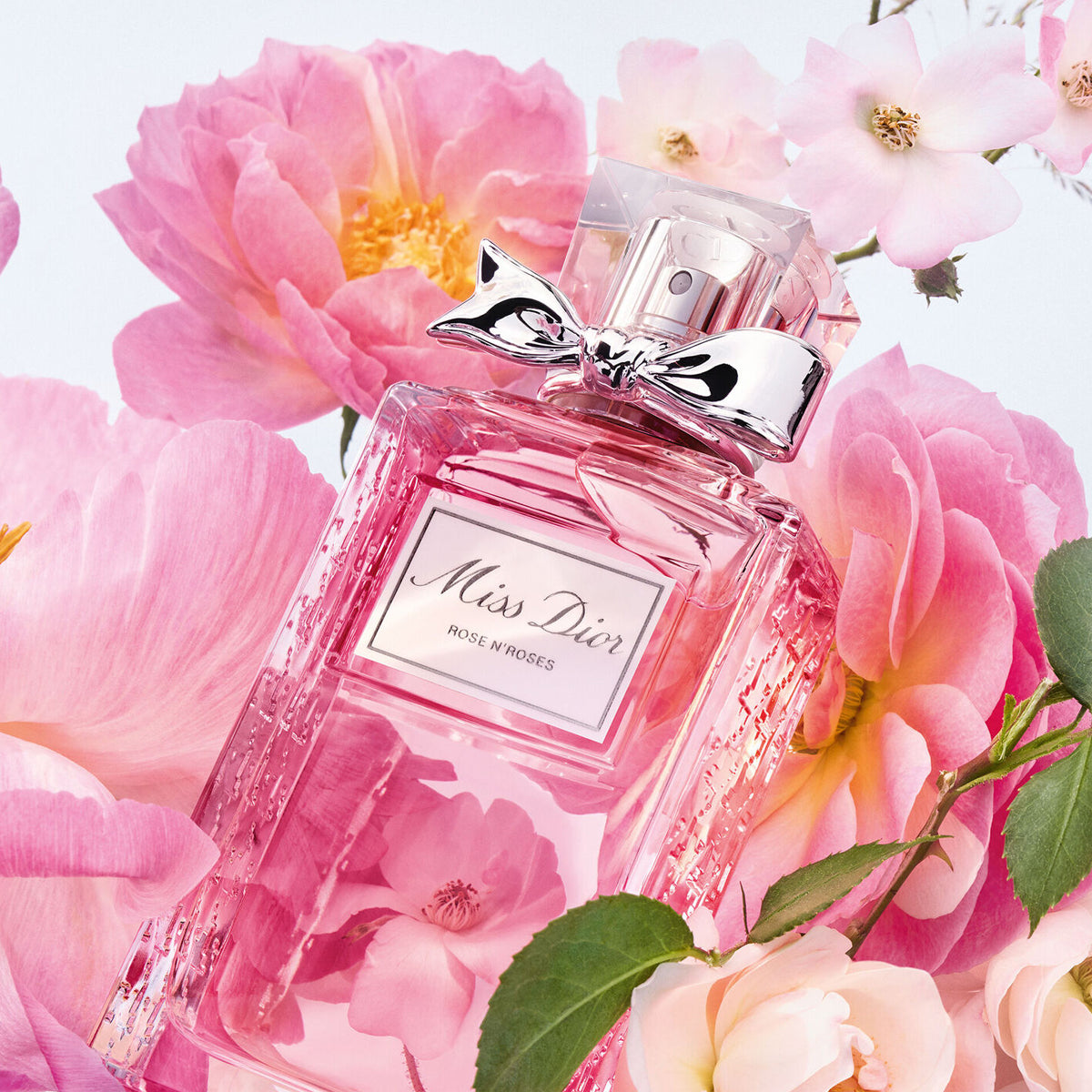 Dior Miss Dior Rose N&