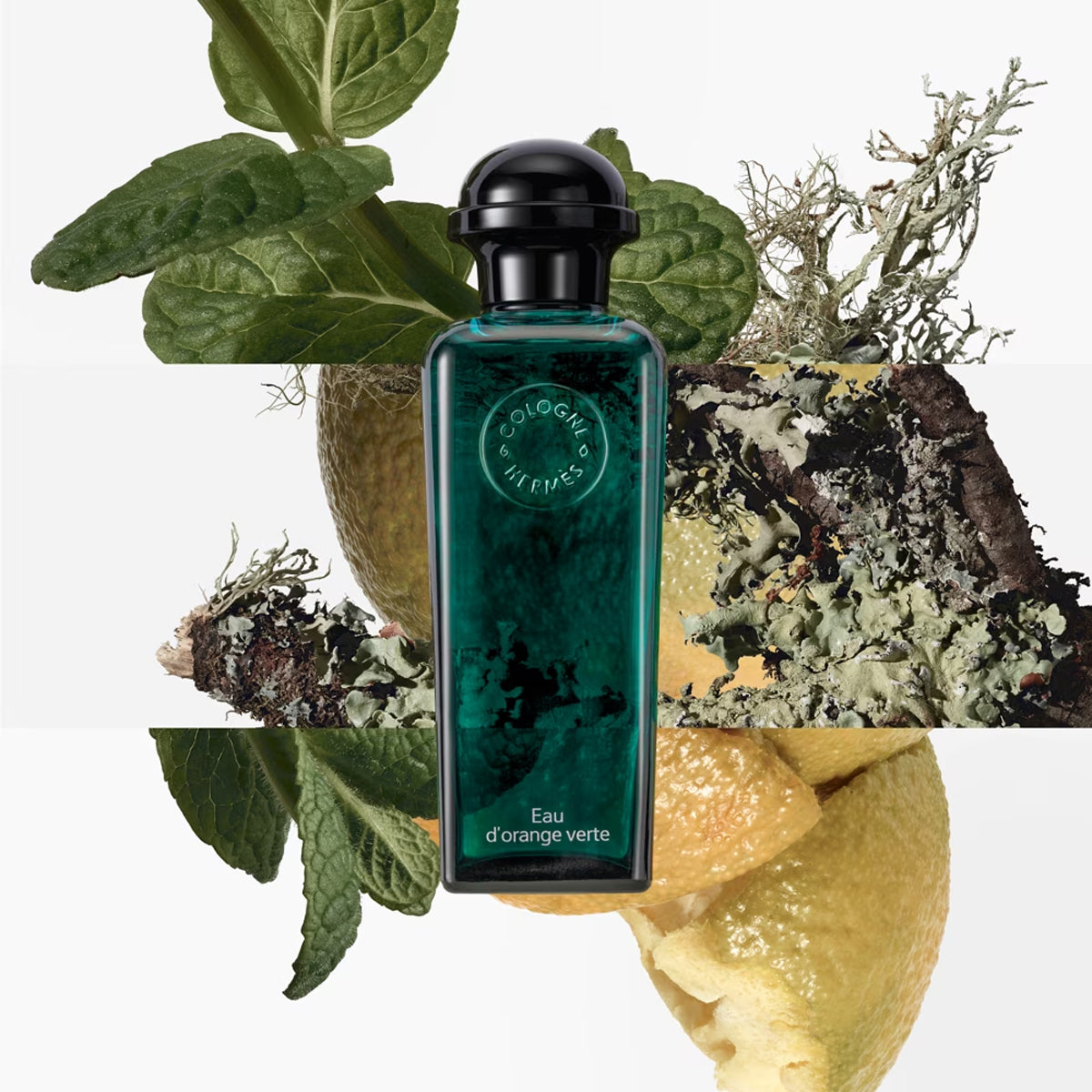 Hermès Concentré d&