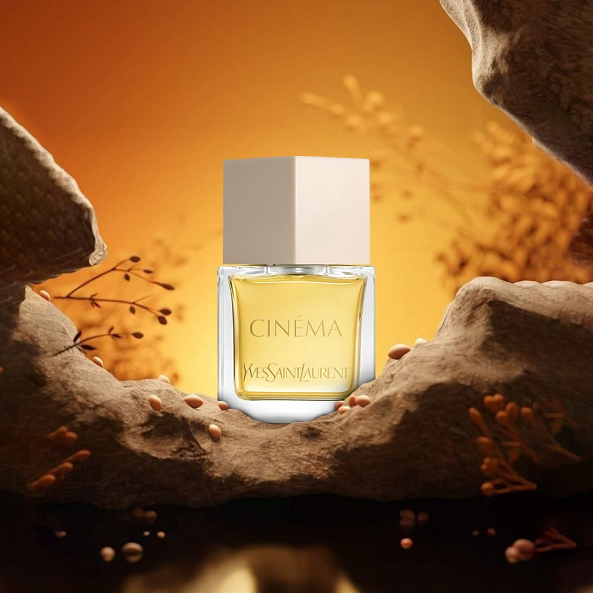 Yves Saint Laurent Cinéma EdP