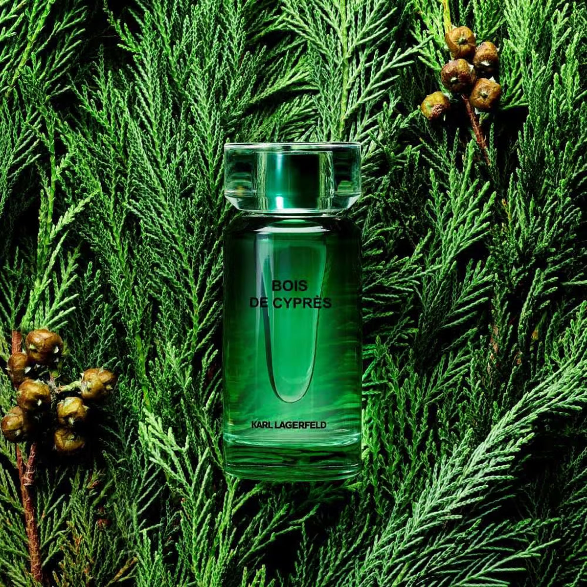 Karl Lagerfeld Bois de Cyprès EdT
