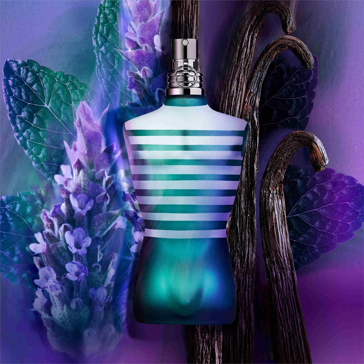 Jean Paul Gaultier Le Male Box Edition EdT