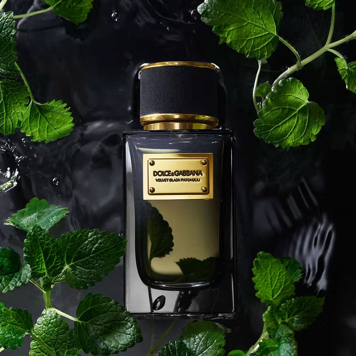 Dolce & Gabbana Velvet Black Patchouli EdP