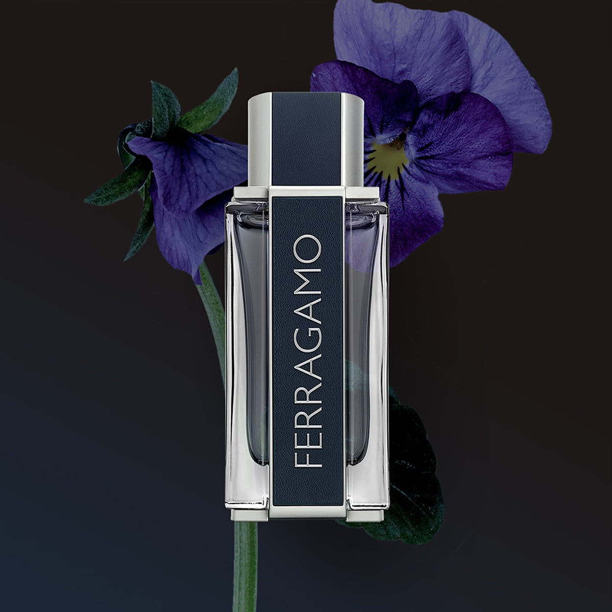 Salvatore Ferragamo Ferragamo EdT