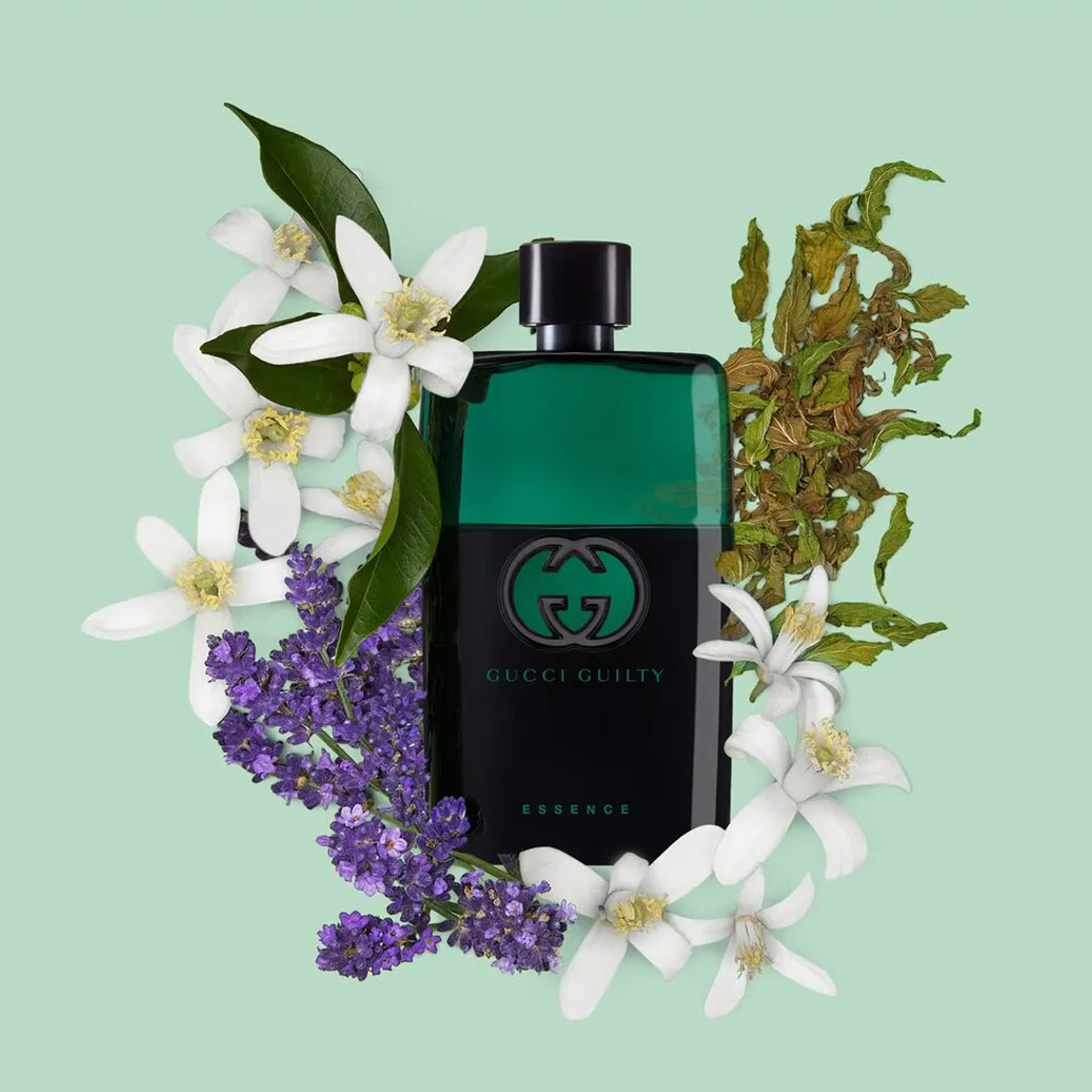 Gucci Guilty Essence Pour Homme EdT