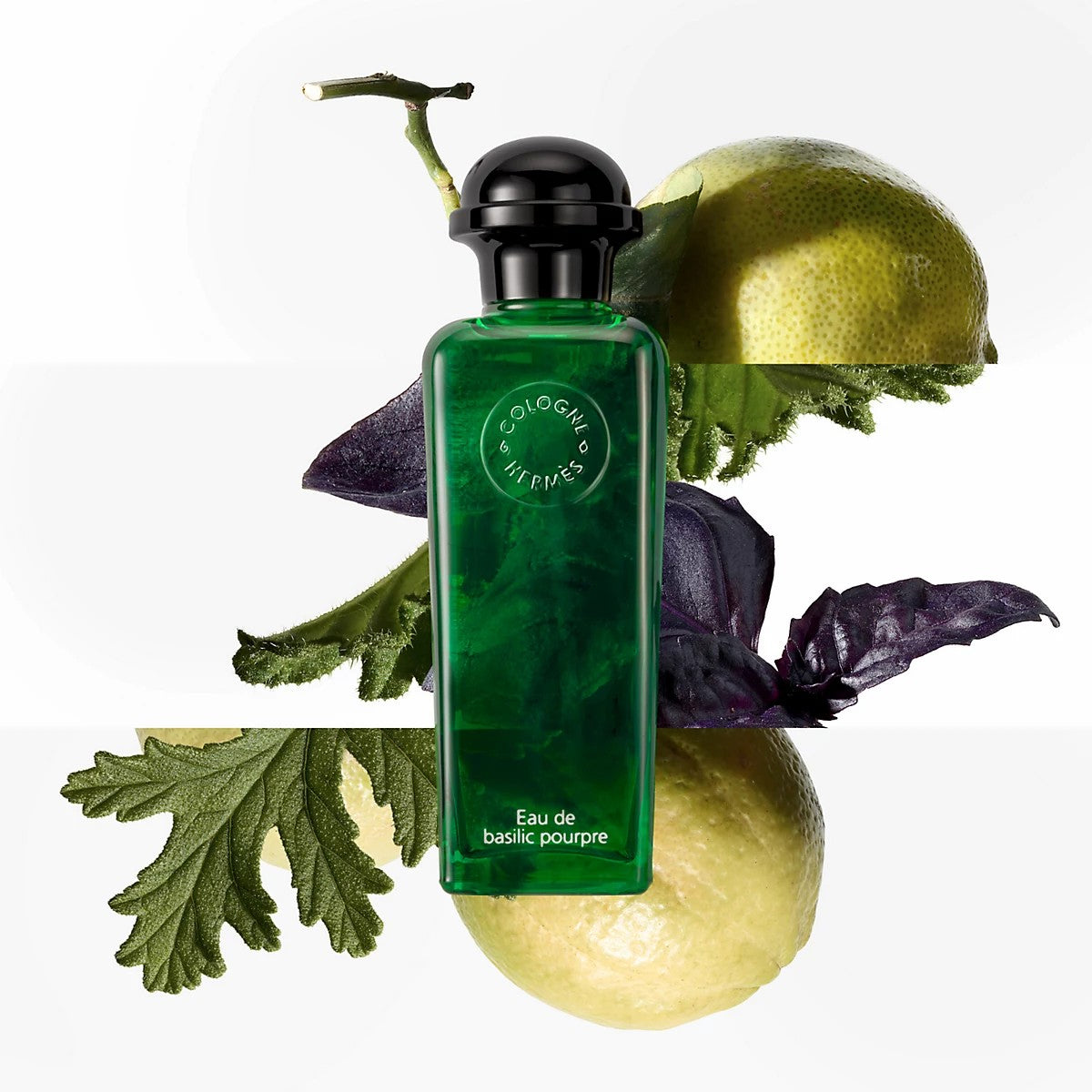 Hermès Eau de Basilic Pourpre EdC