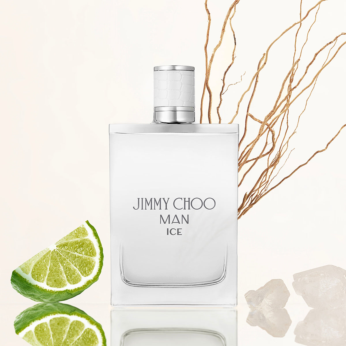 Jimmy Choo Man Ice EdT