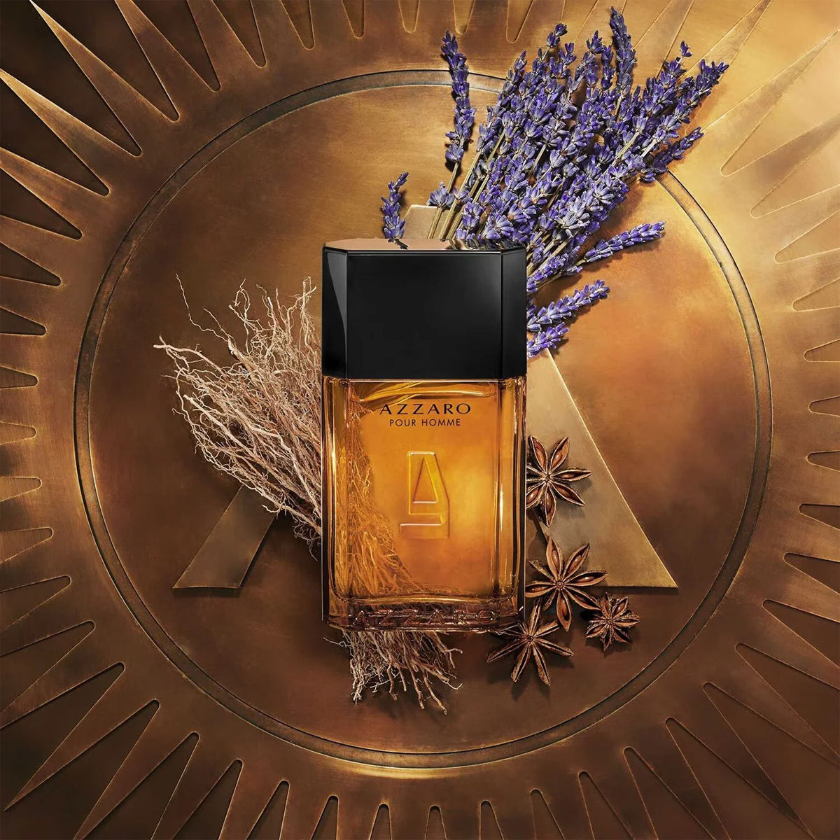 Azzaro Pour Homme EdT