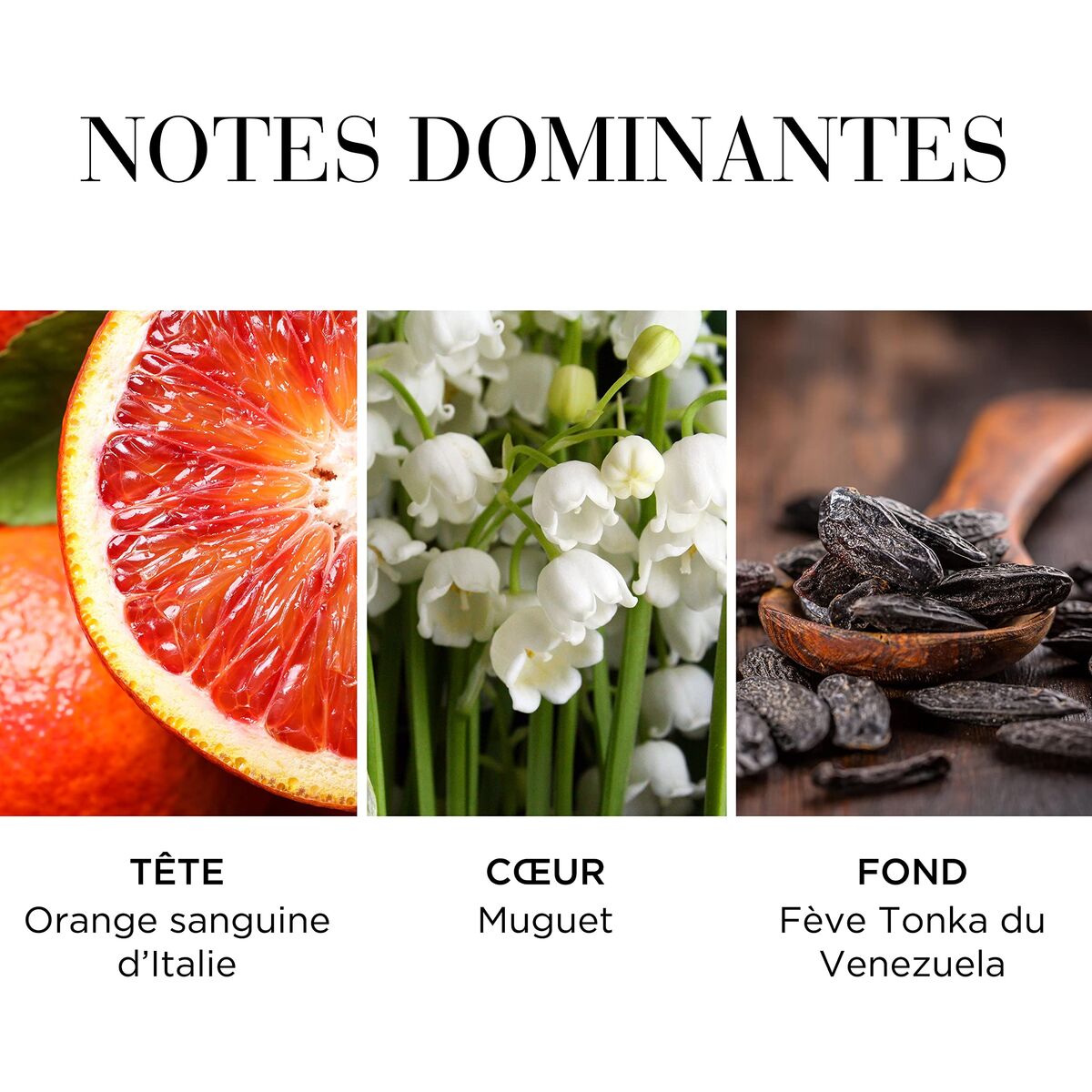 Elizabeth arden white tea eau fraiche edt