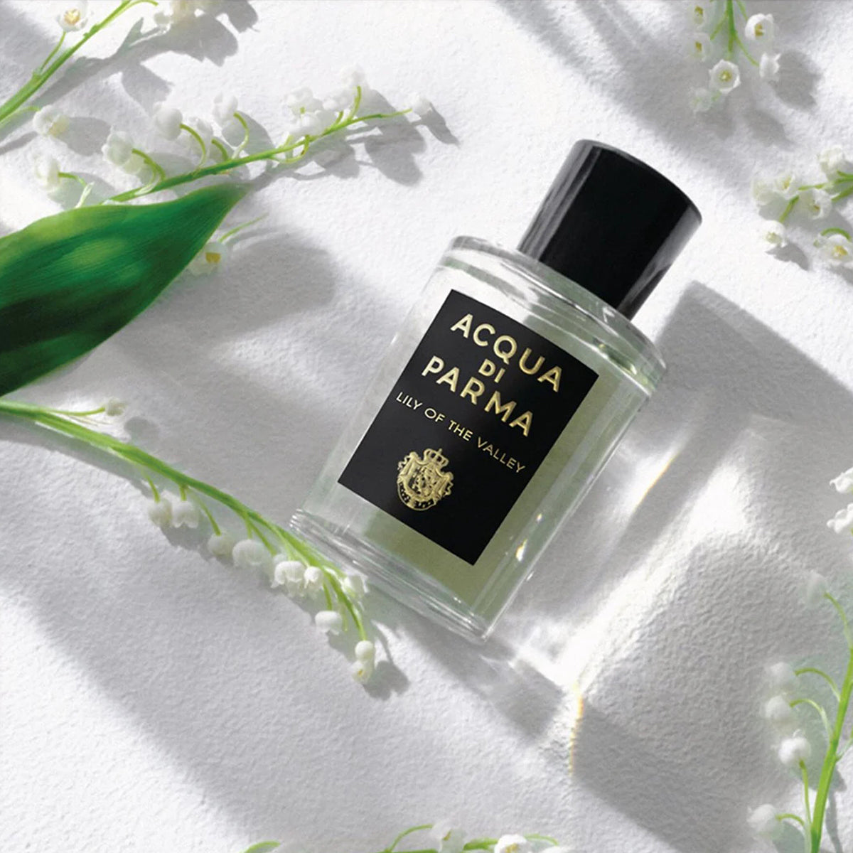 Acqua di parma lily of the valley edp