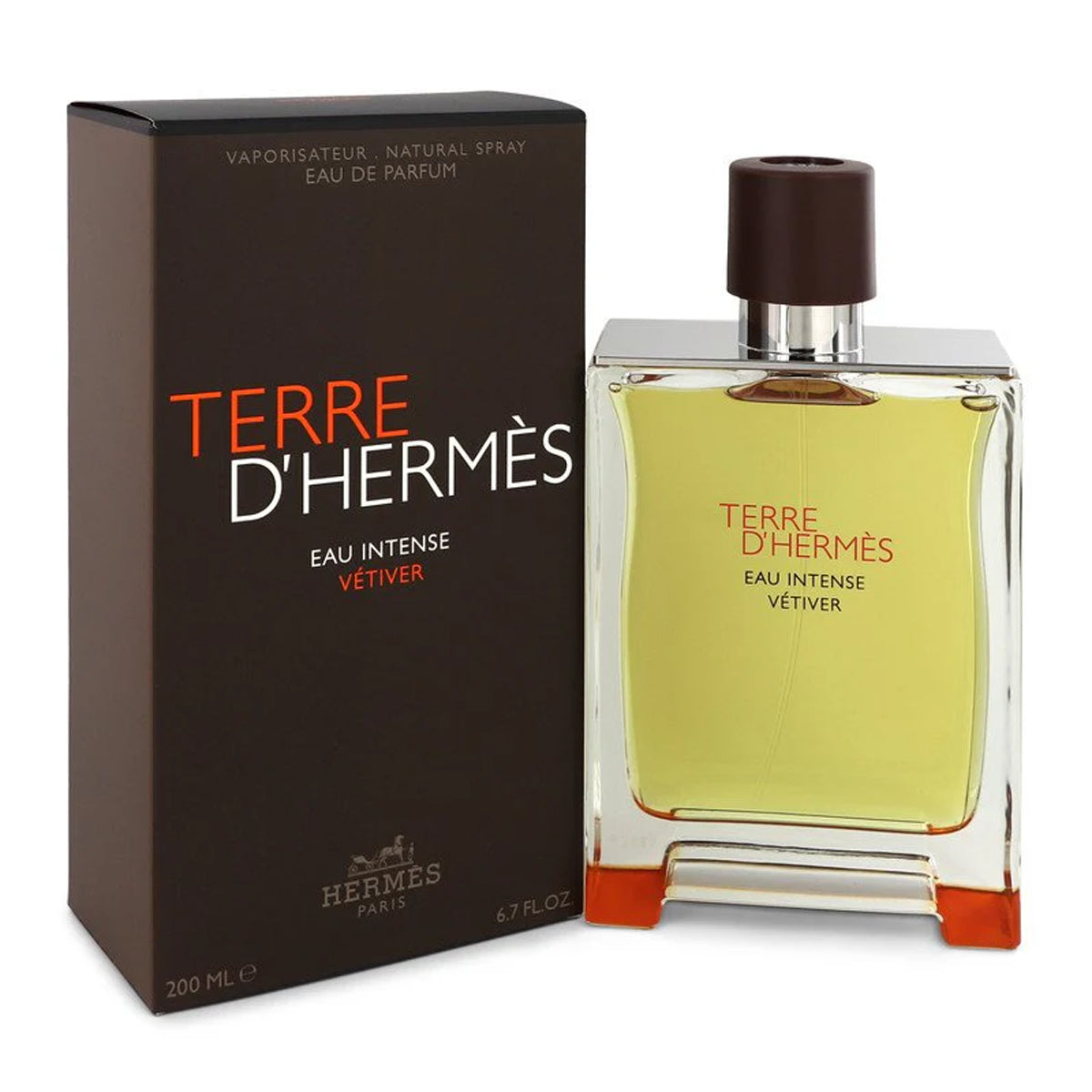 Hermès Terre d&