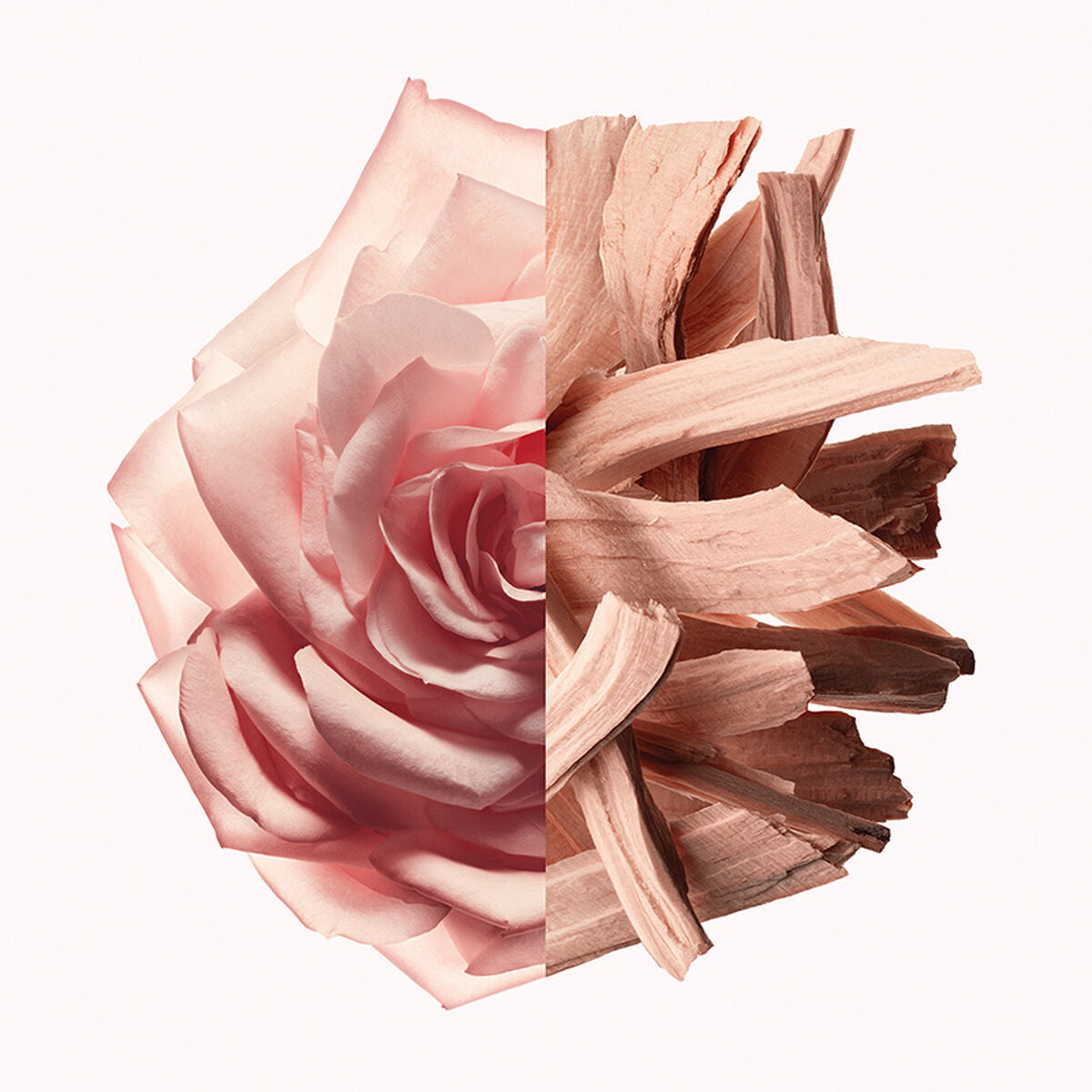Givenchy irresistible nude velvet edp