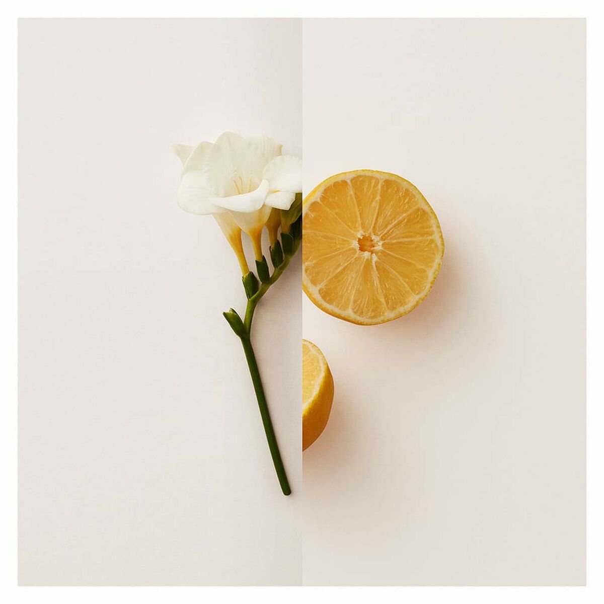 Burberry my burberry edp