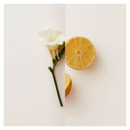 Burberry my burberry edp