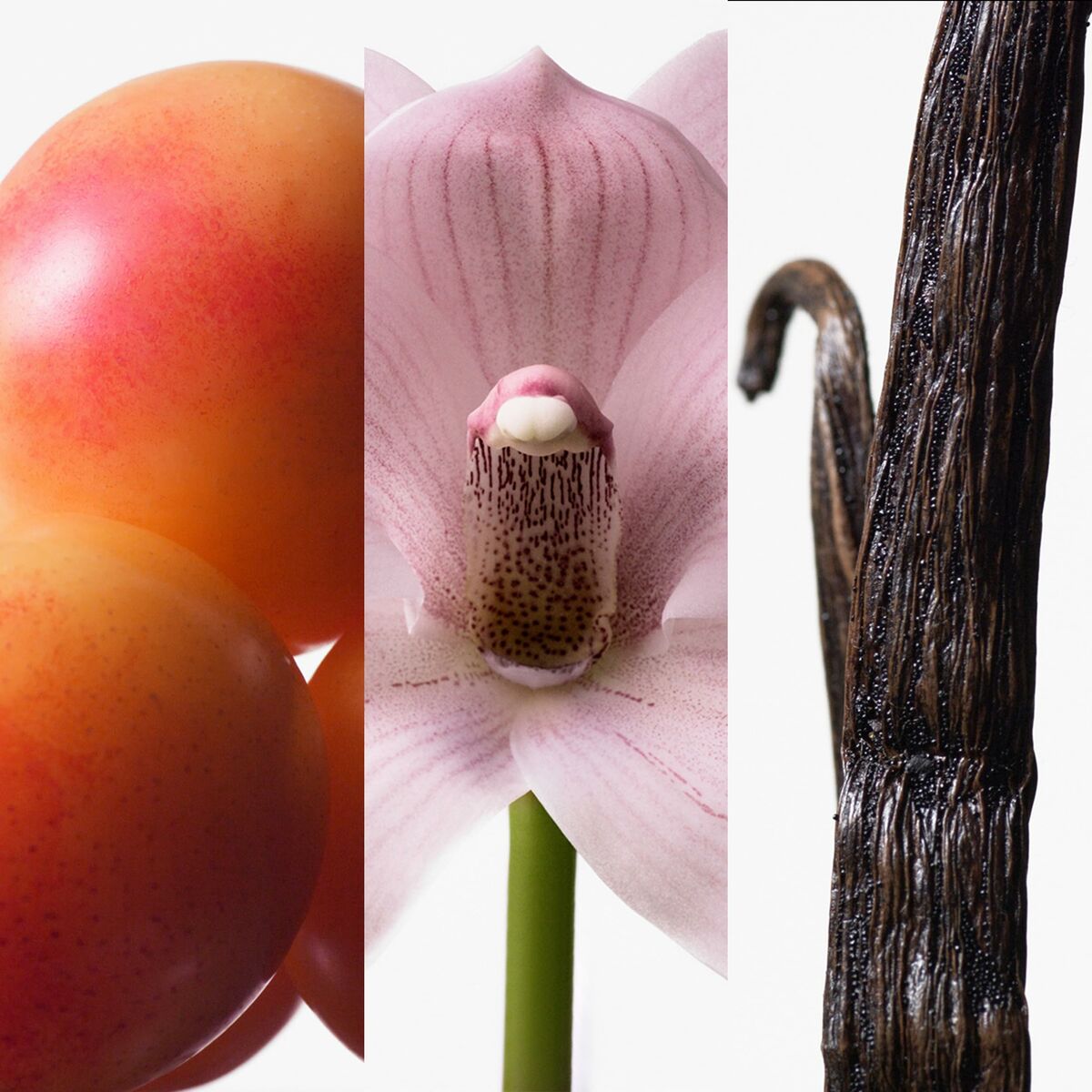 Calvin klein euphoria edt