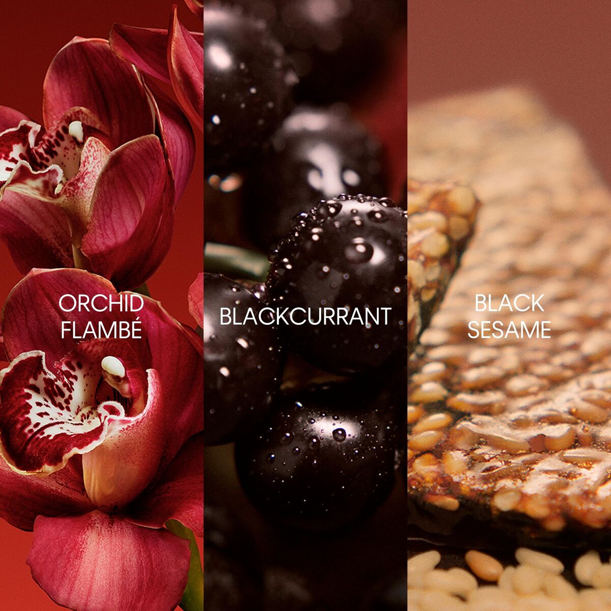 Calvin klein my euphoria edp