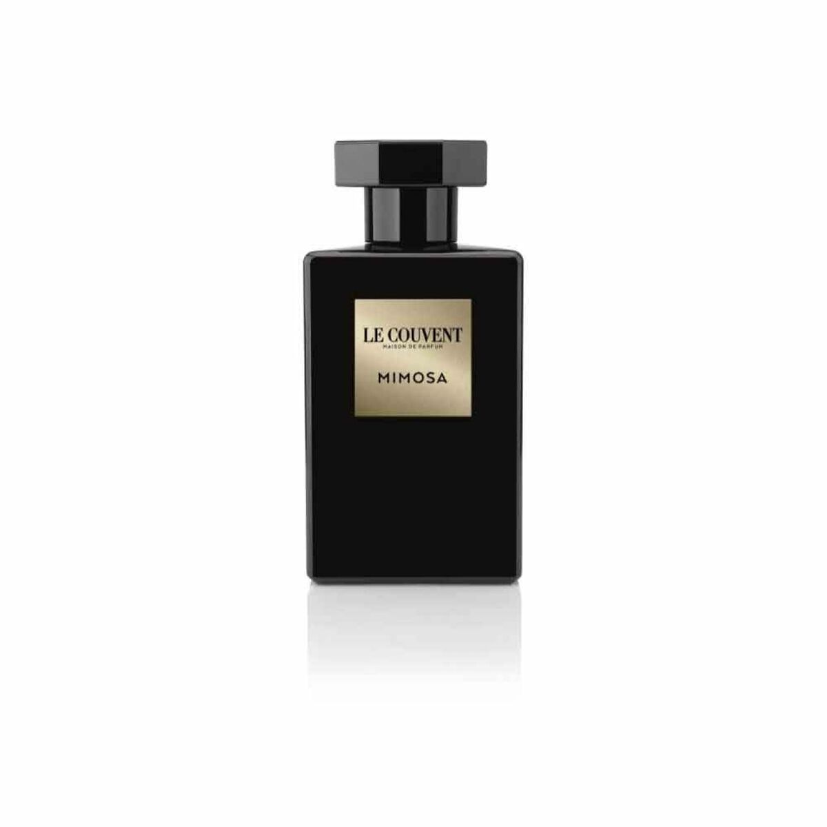 Le couvent des minimes mimosa edp