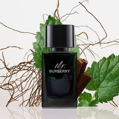 Burberry Mr. Burberry EdP