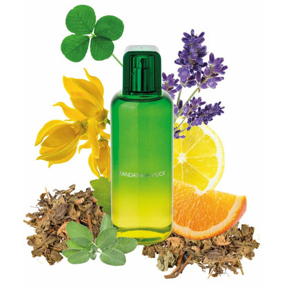 Mandarina duck the mandariners for him edt