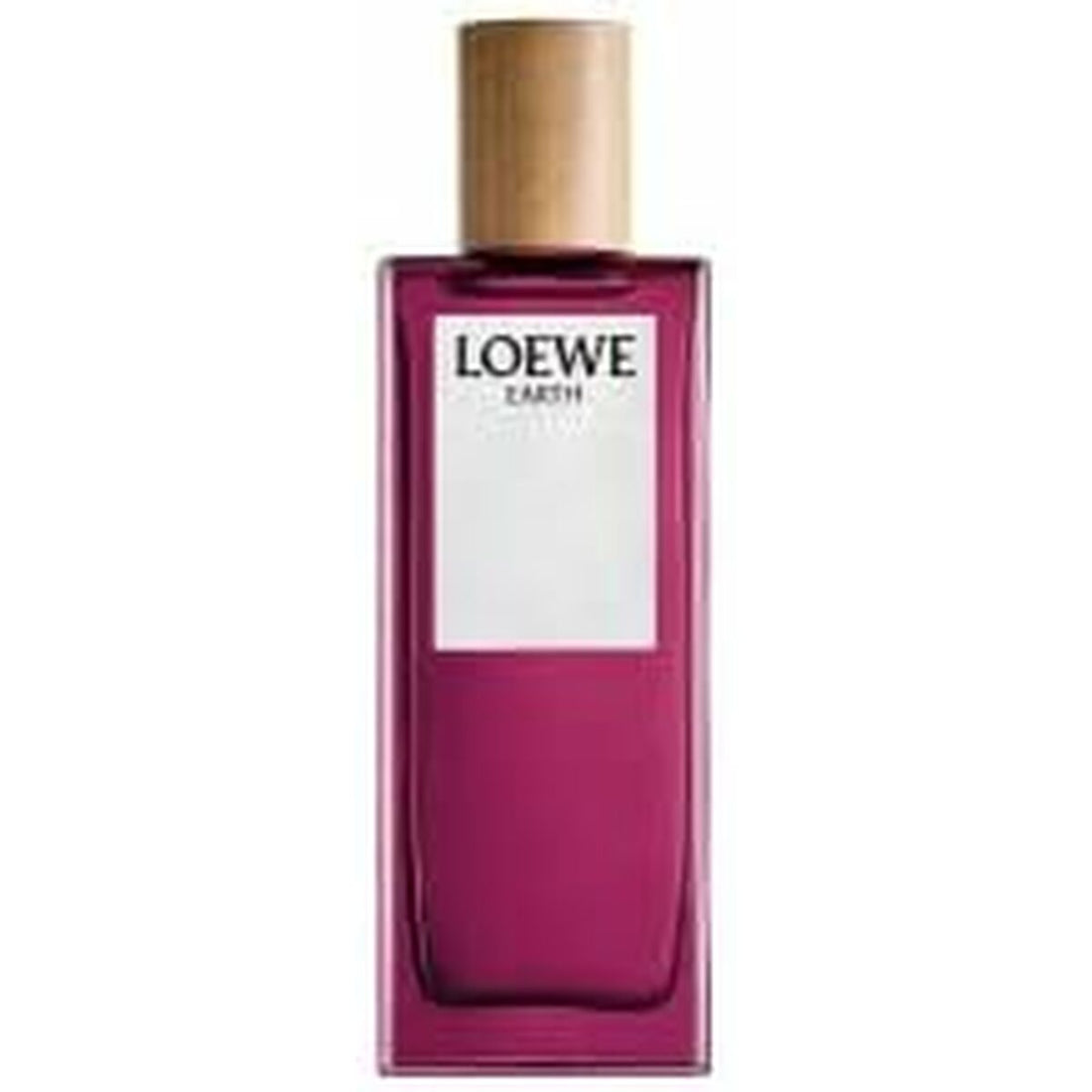 Loewe earth edp