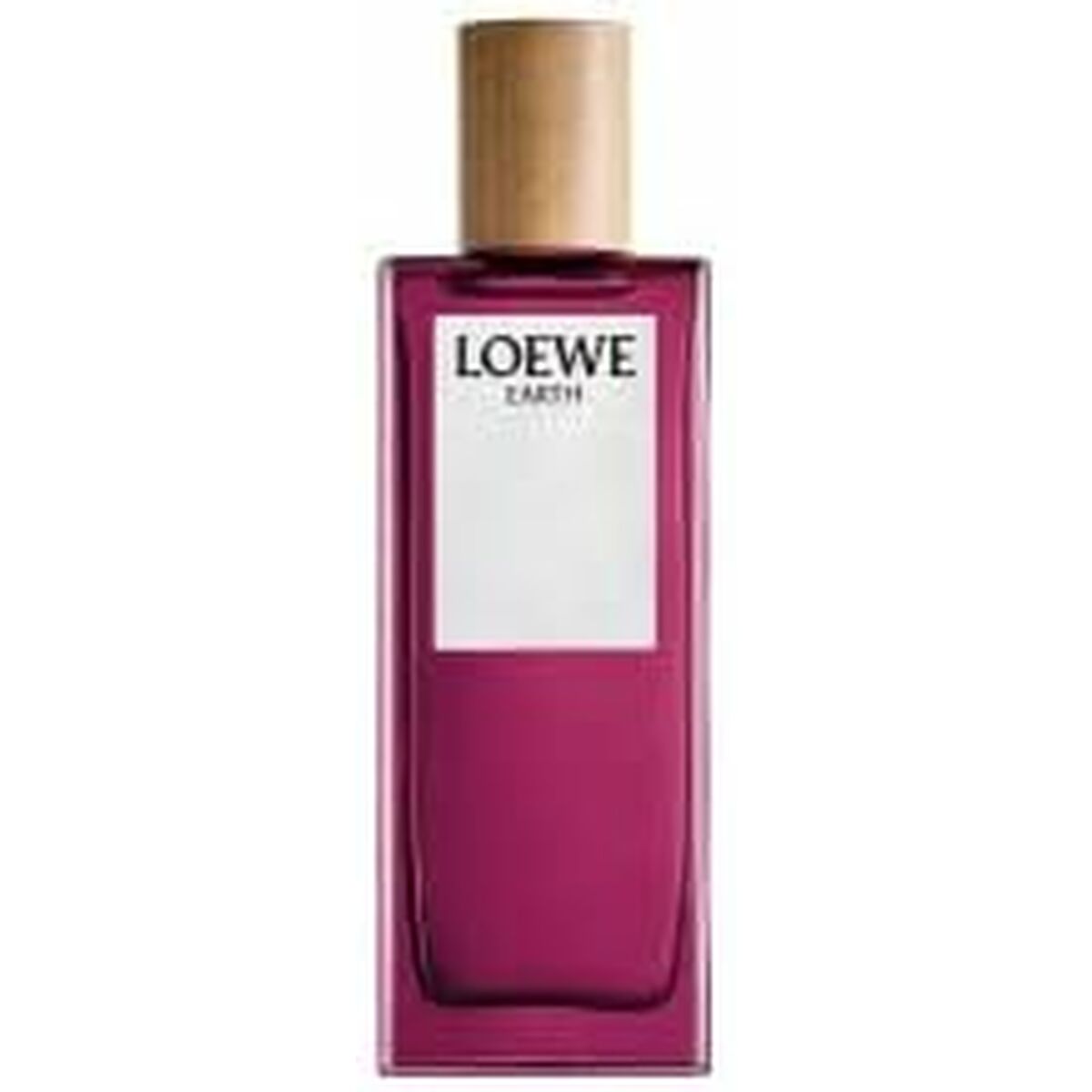 Loewe earth edp