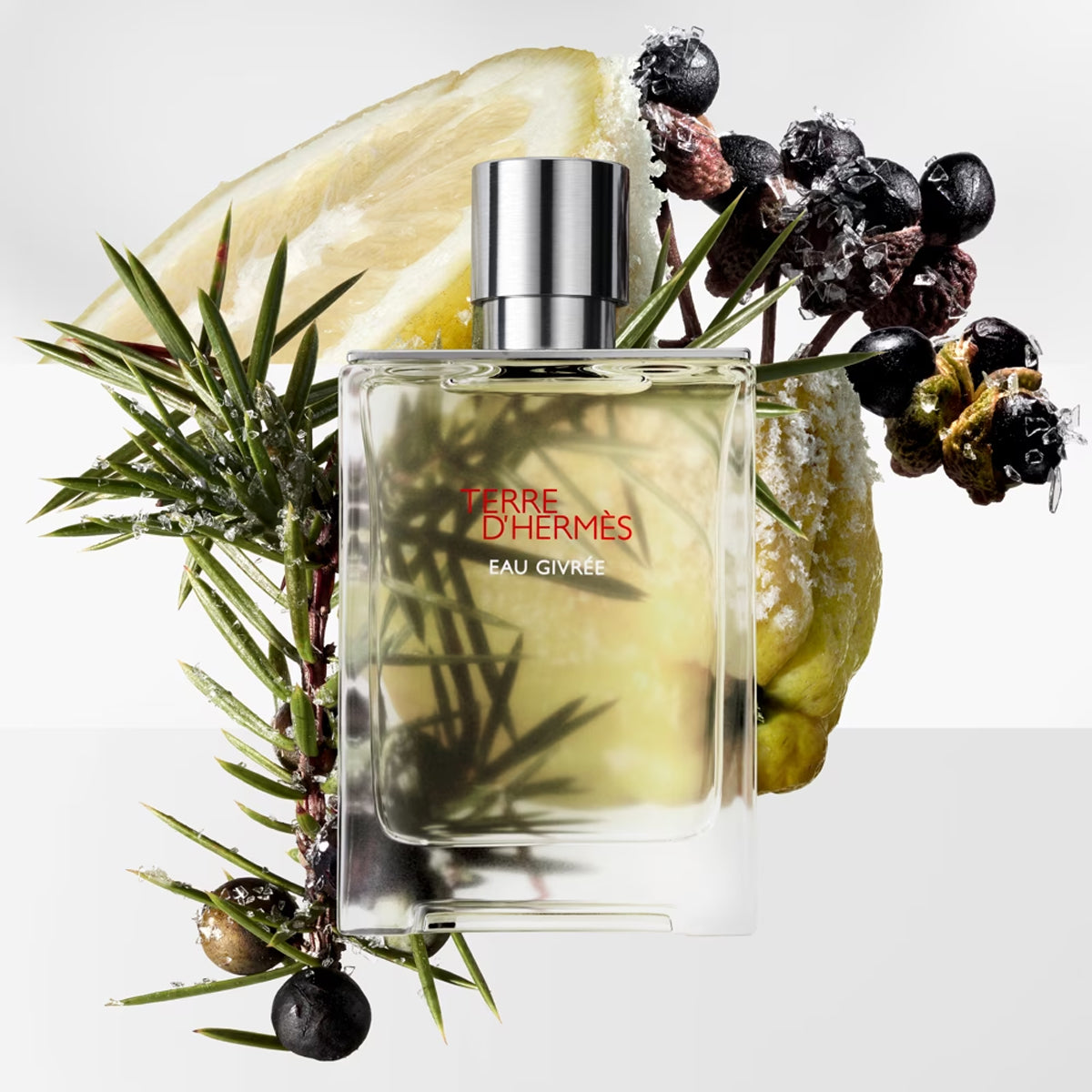Hermès Terre d&