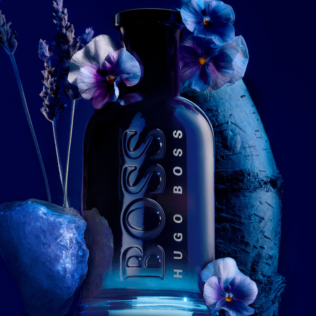 Hugo Boss Boss Bottled Night EdT