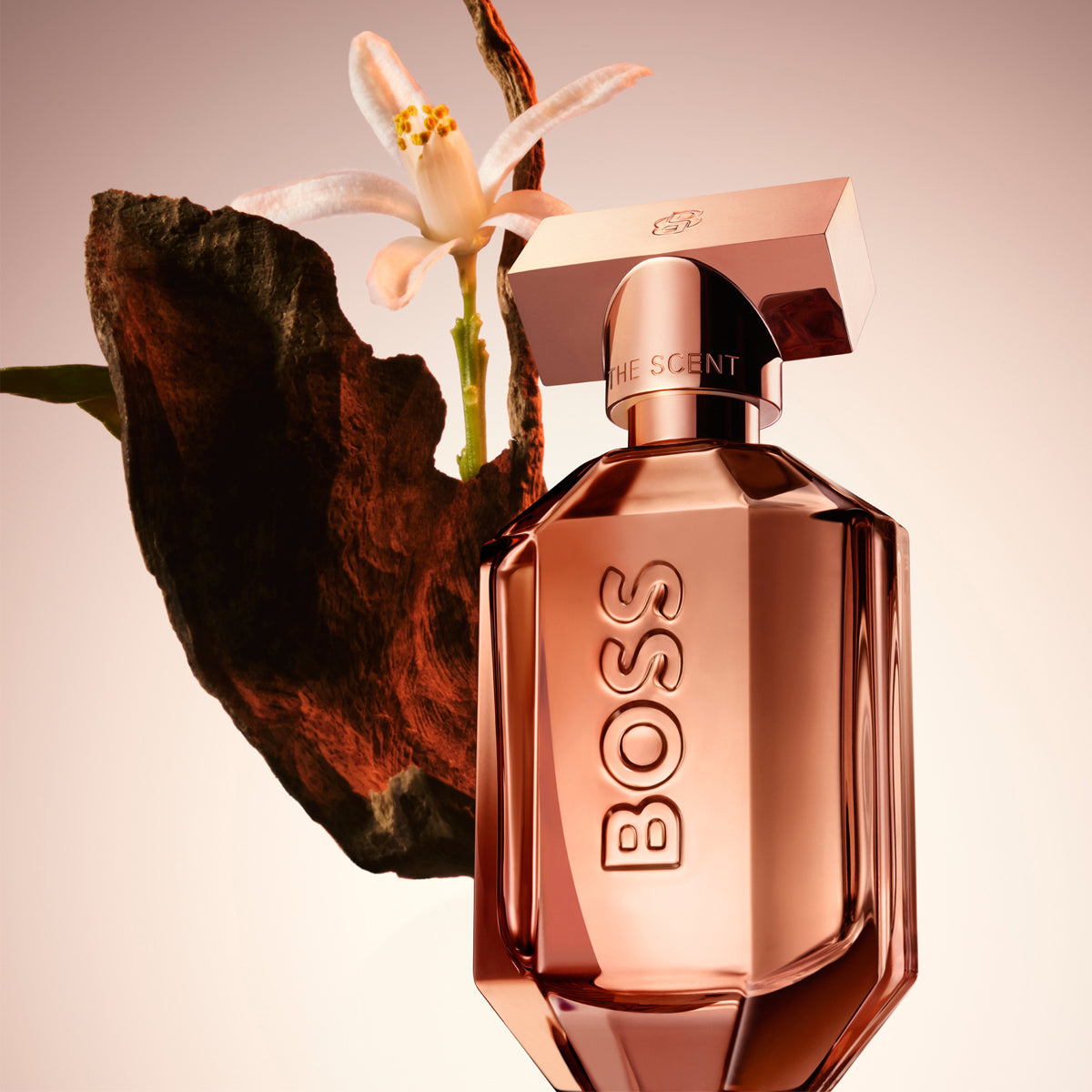 Hugo Boss The Scent For Her Parfum