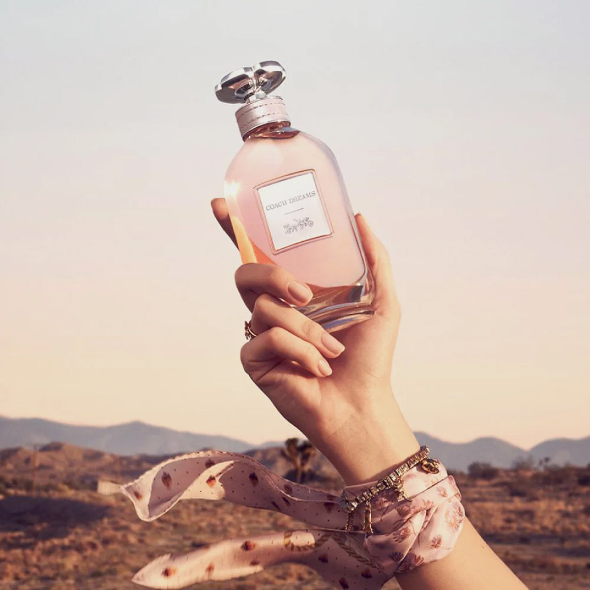 Coach Dreams EdP