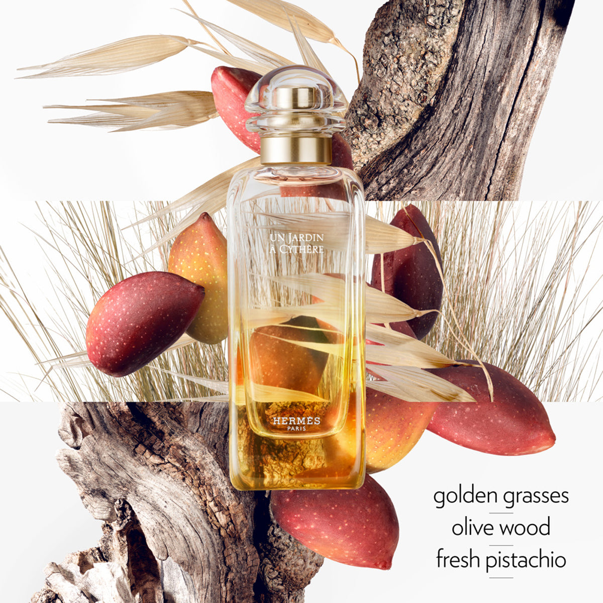 Hermès Un Jardin à Cythère EdT