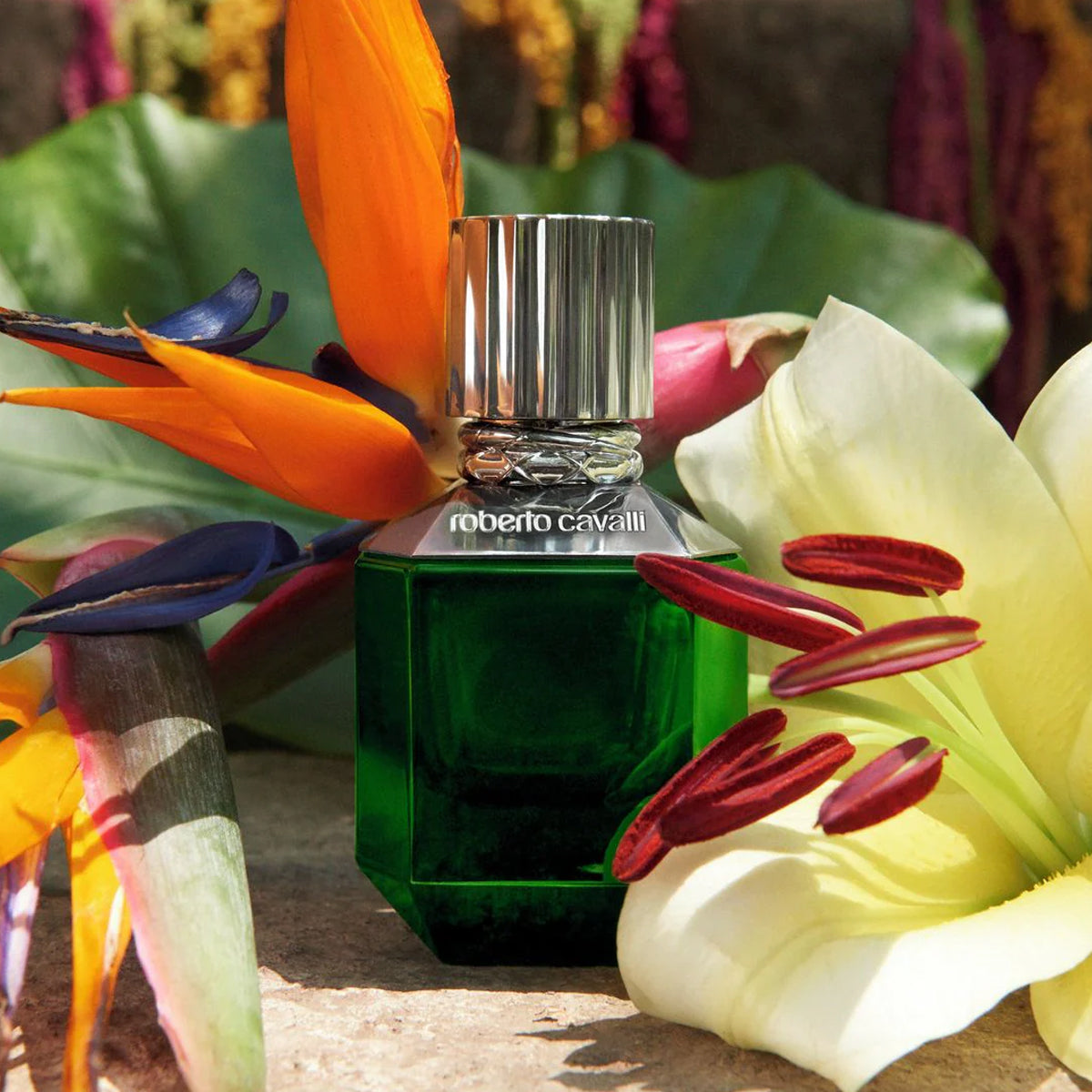 Roberto Cavalli Paradise Found For Men EdT