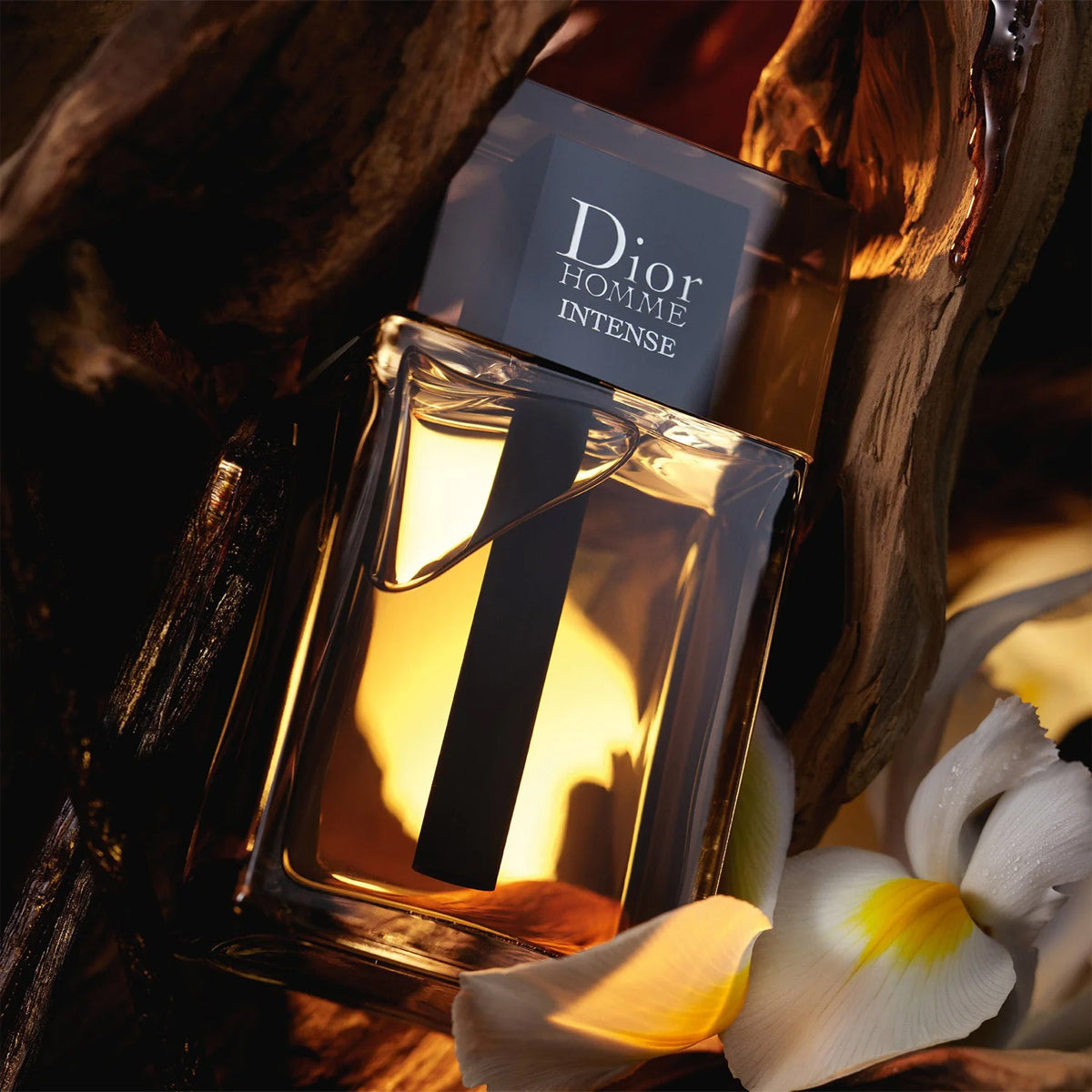Dior Homme Intense EdP
