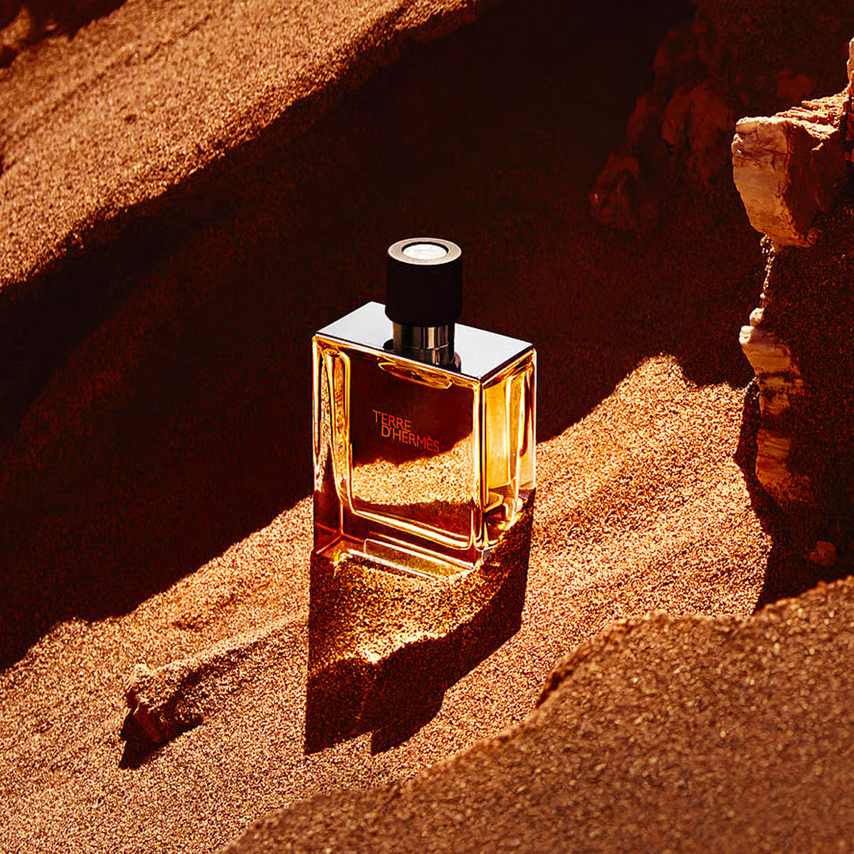 Hermès Terre d&