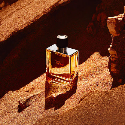 Hermès Terre d&