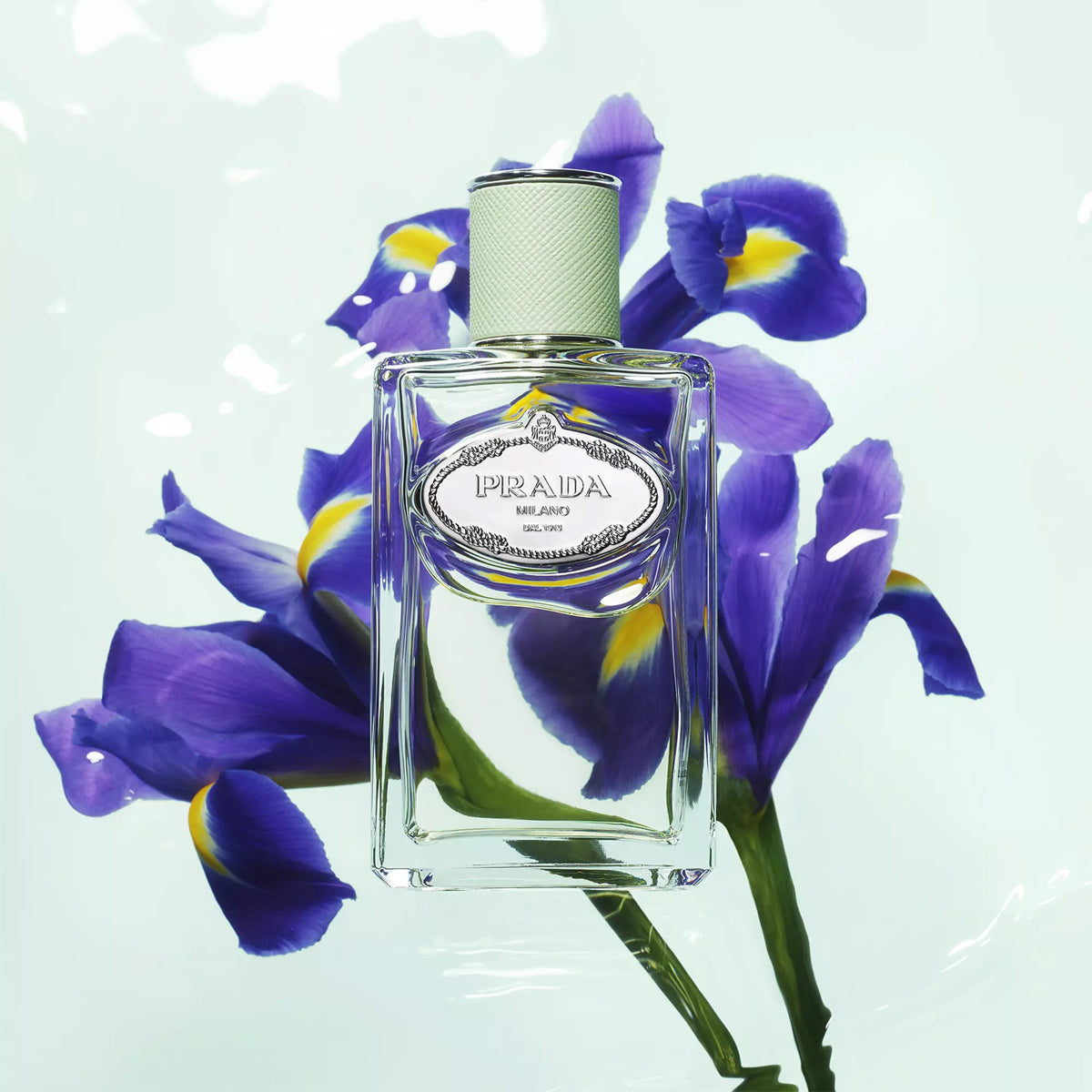 Prada Infusion D&