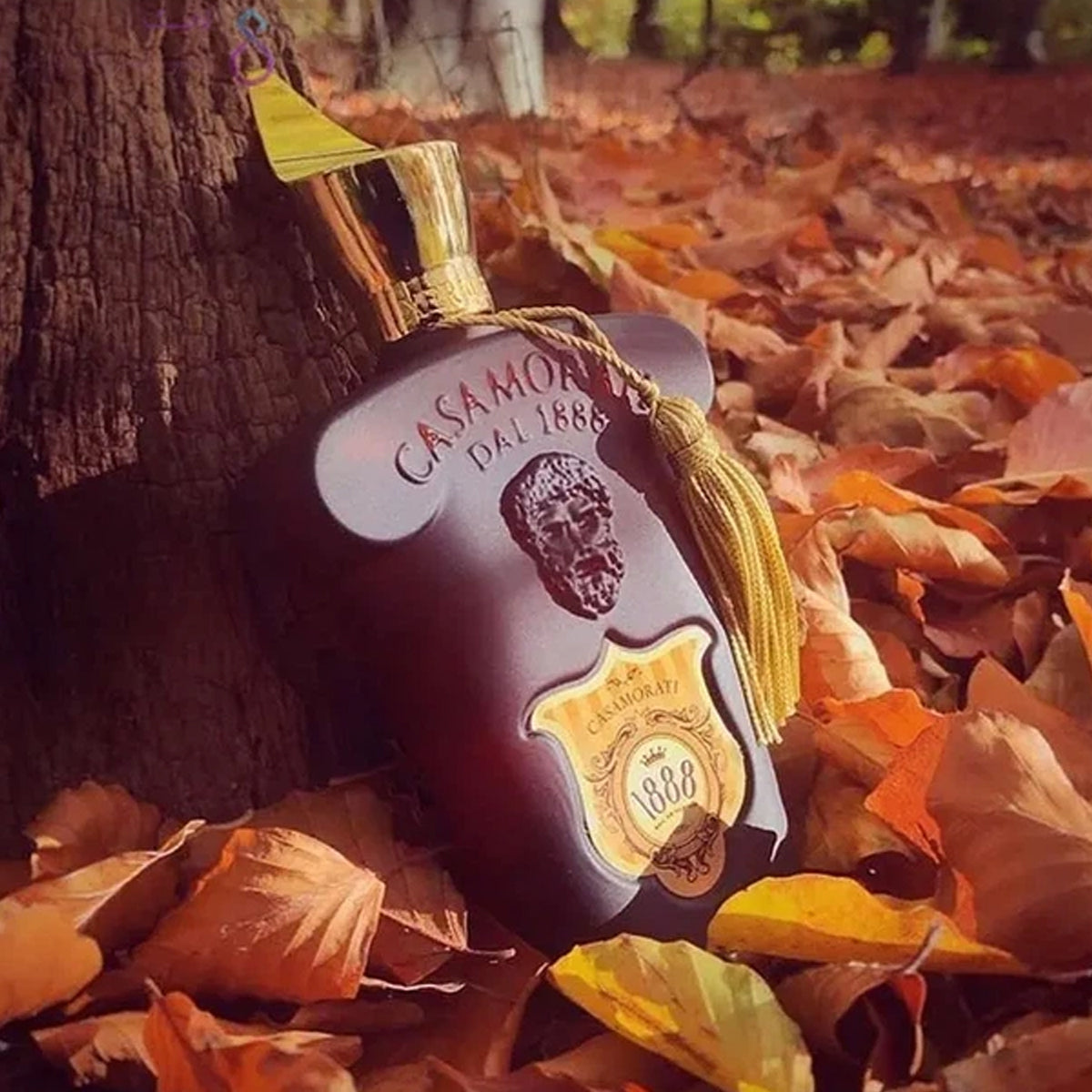 Xerjoff Casamorati 1888 EdP