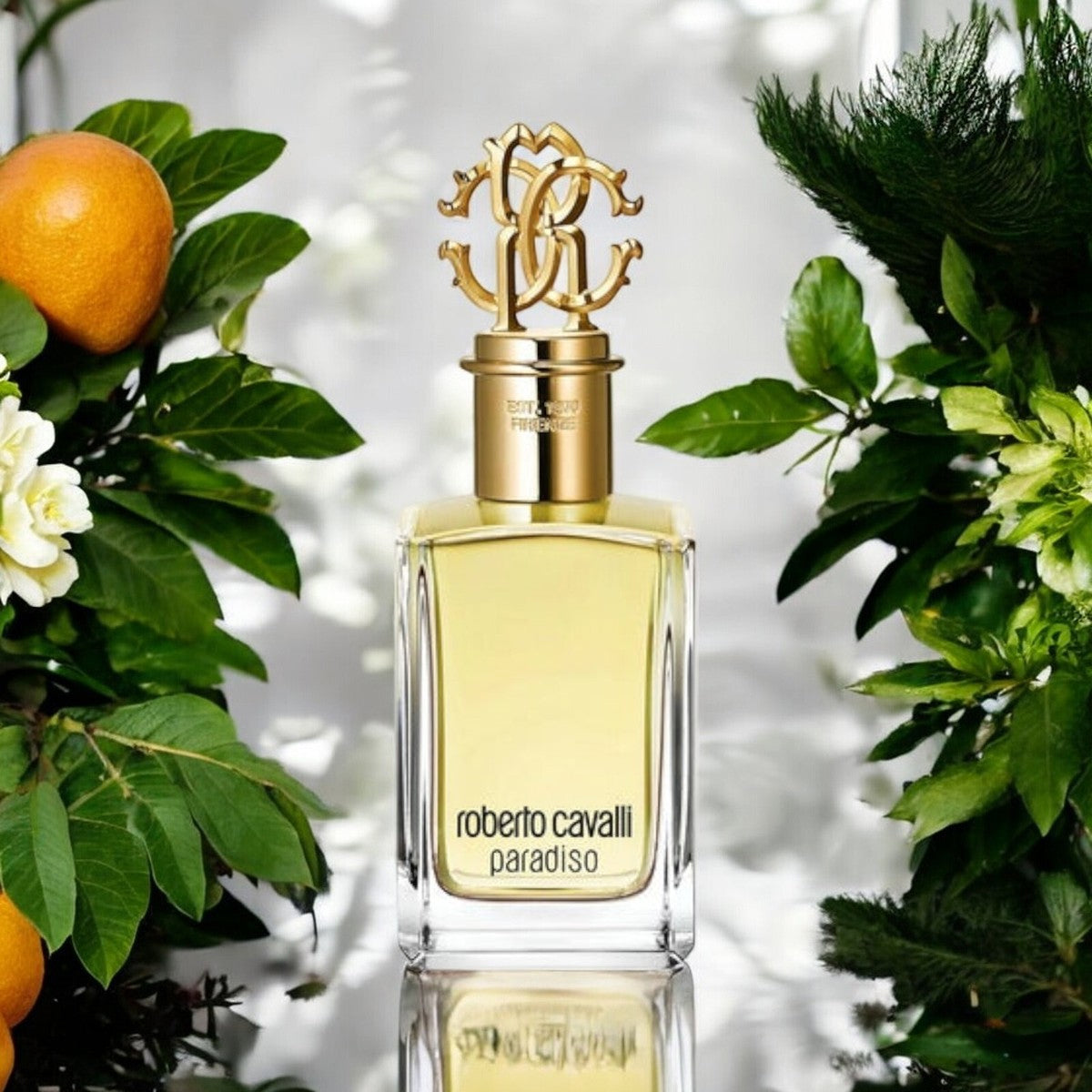 Roberto Cavalli Paradiso New Edition EdP