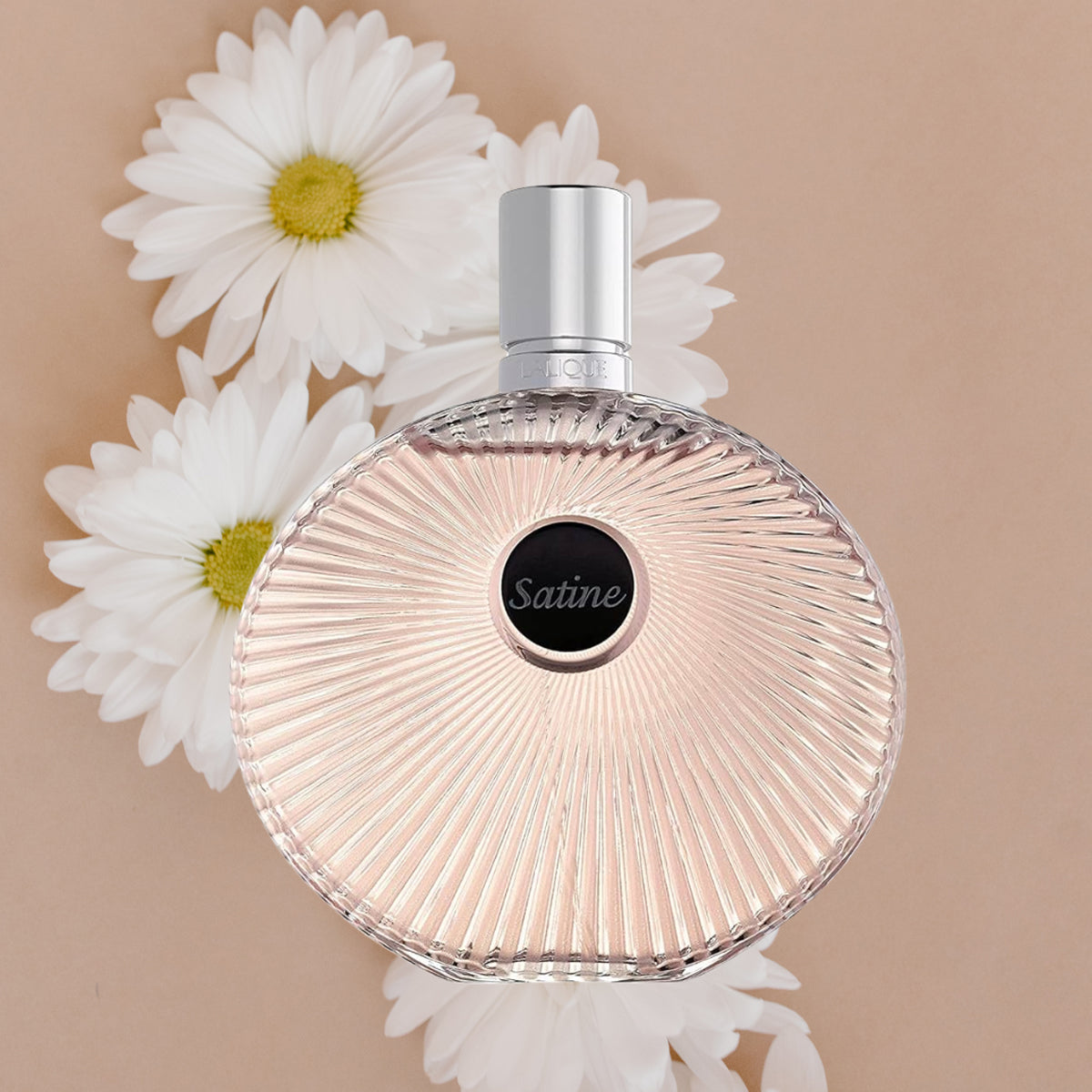 Lalique Satine EdP