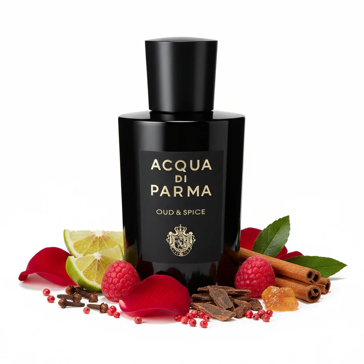 Acqua Di Parma Oud &amp; Spice EdP