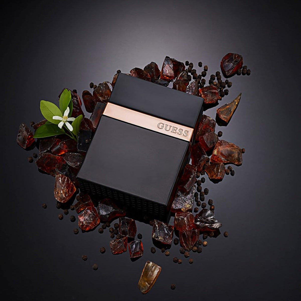 Guess Seductive Noir Homme EdT