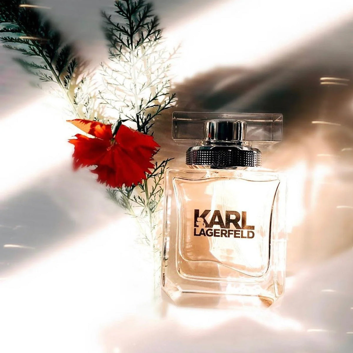 Karl Lagerfeld Woman EdP