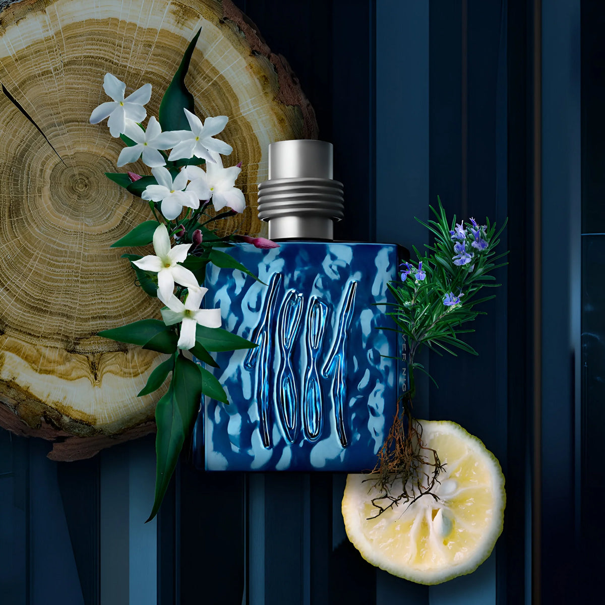 Cerruti 1881 Silver Night EdP
