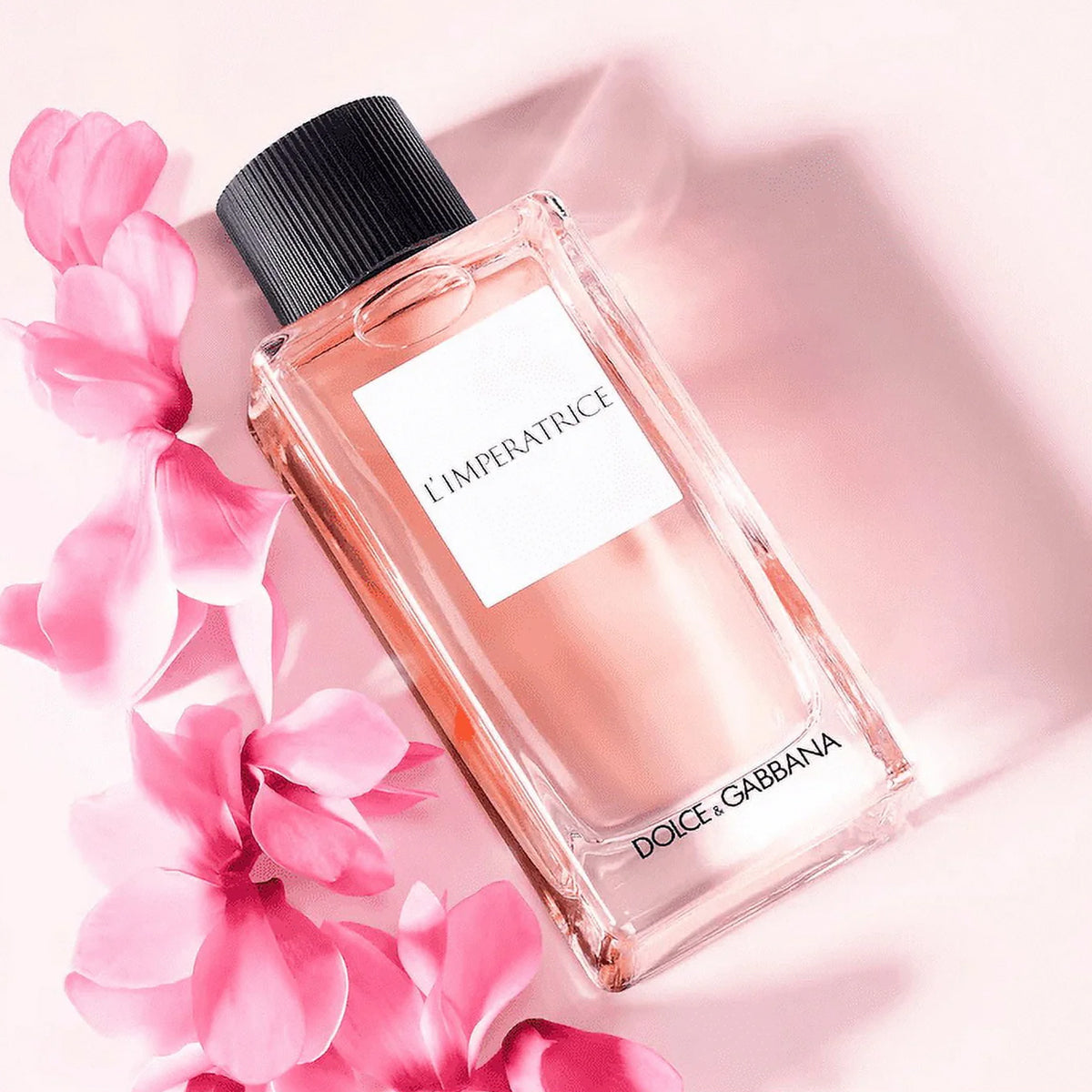 Dolce &amp; Gabbana L’Imperatrice EdT