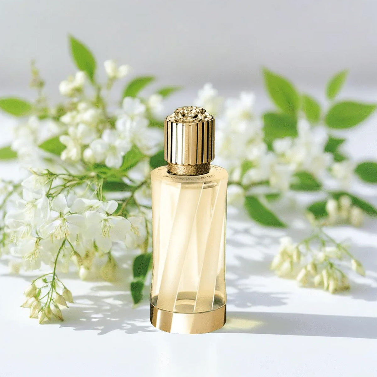 Versace Jasmin au Soleil EdP