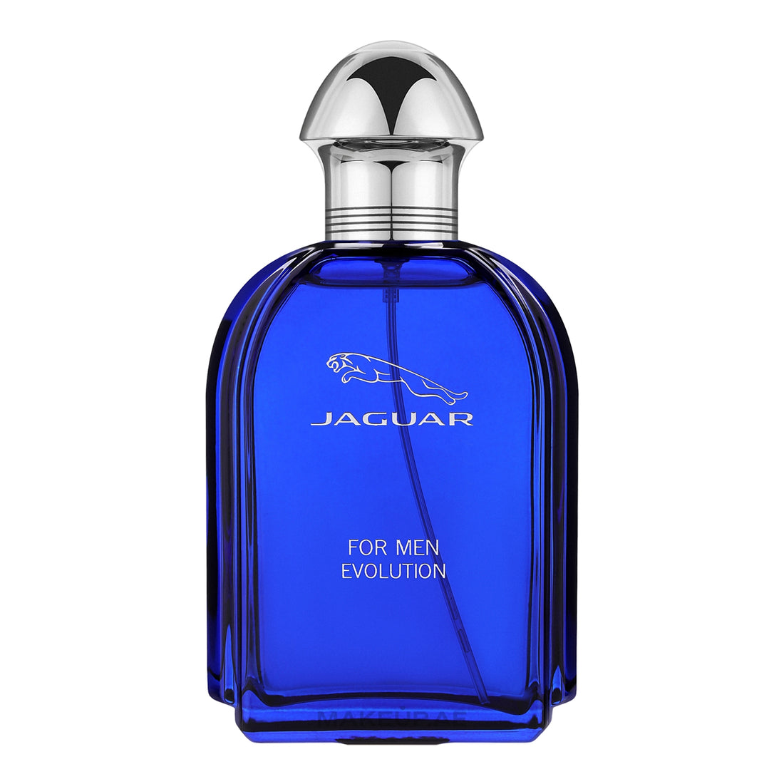 Jaguar For Men Evolution EdT